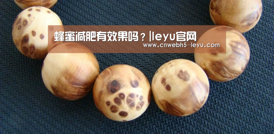  登录入口