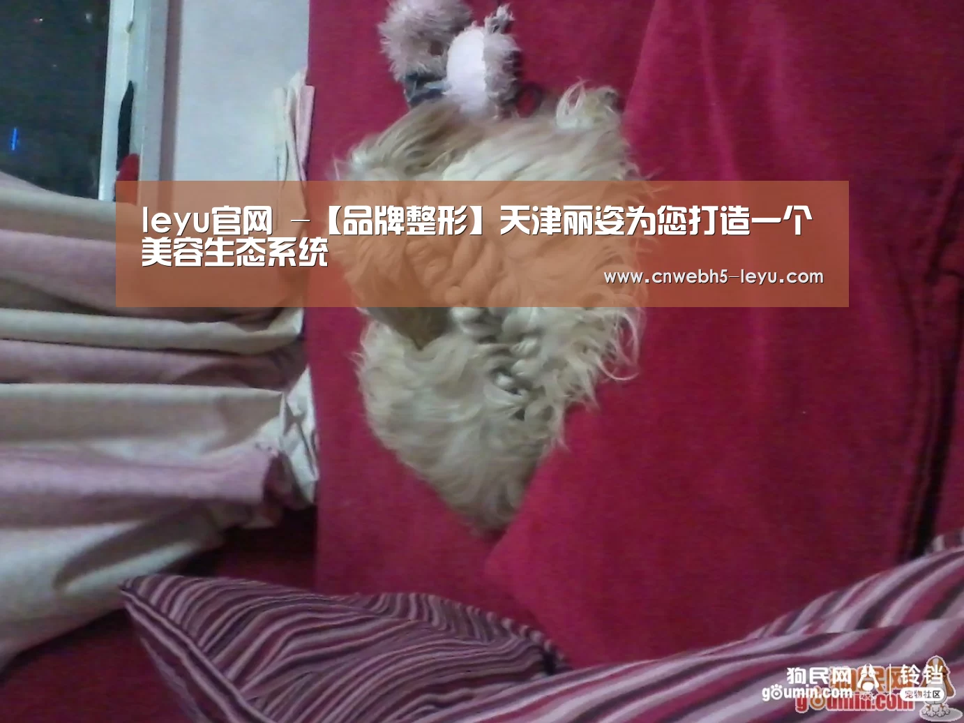 leyu官网 -【品牌整形】天津丽姿为您打造一个美容生态系统(图1) 登录入口