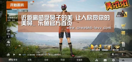  登录入口