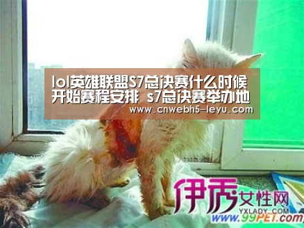 leyu官网 